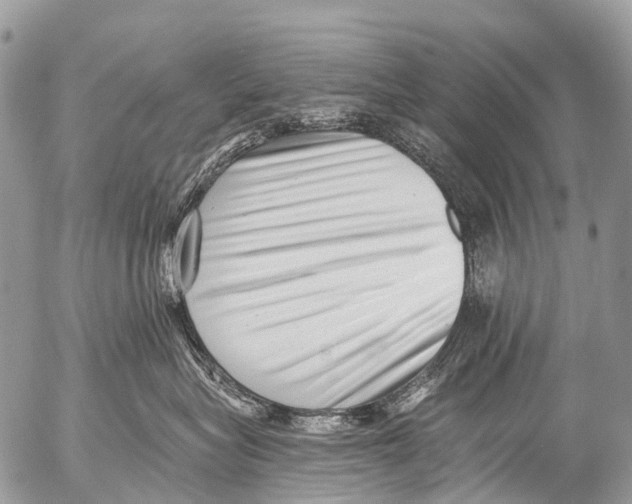 X0000053100575200508081339