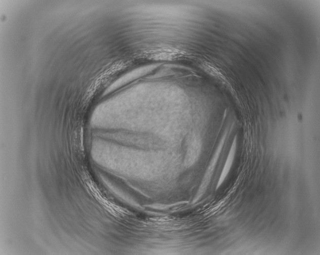 X0000053100589200508081338