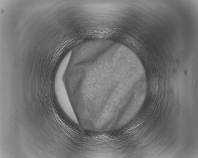 X0000053100594200508081338