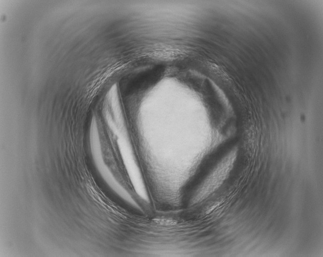 X0000053100596200508081338