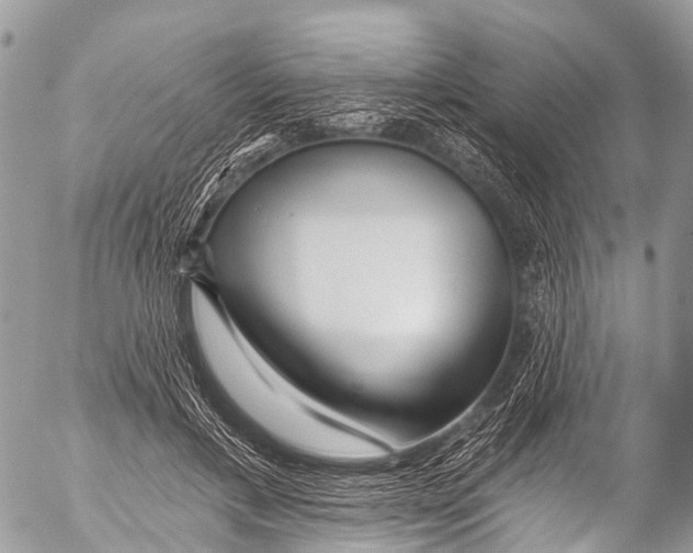 X0000053100597200508081338
