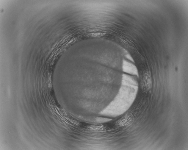 X0000053100606200508081338