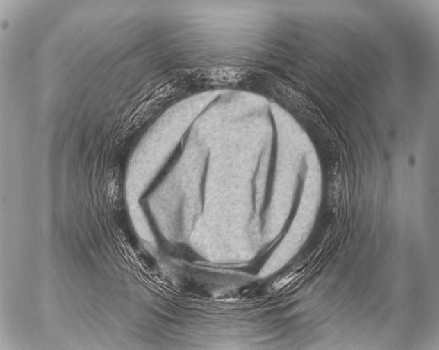 X0000053100608200508081338