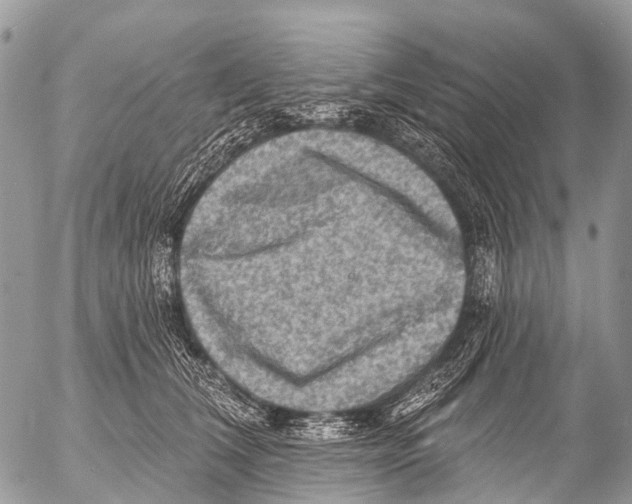 X0000053100612200508081338
