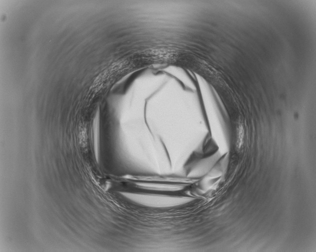 X0000053100613200508081338