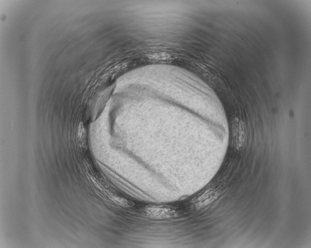 X0000053100614200508081338