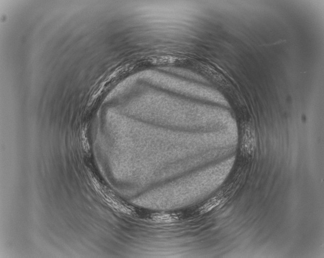 X0000053100616200508081338
