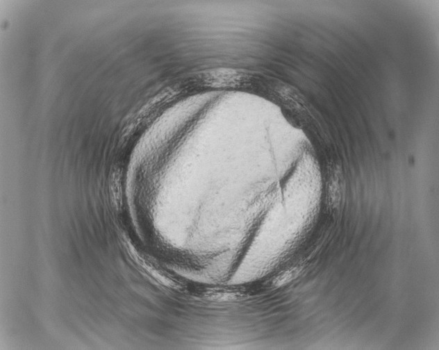 X0000053100620200508081338
