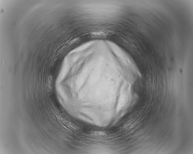 X0000053100649200508081337