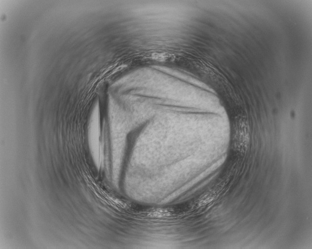 X0000053100656200508081338