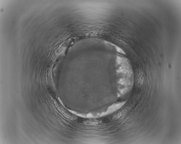 X0000053100661200508081338