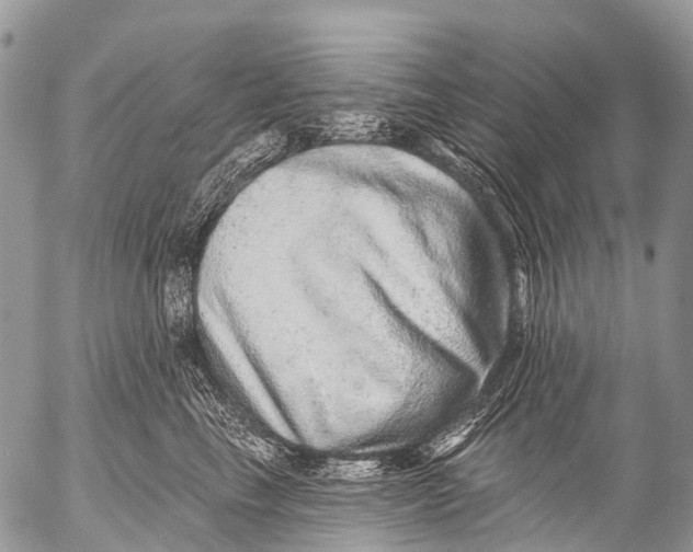 X0000053100665200508081338