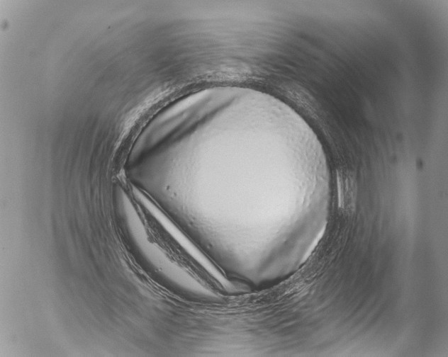 X0000053100675200508081337