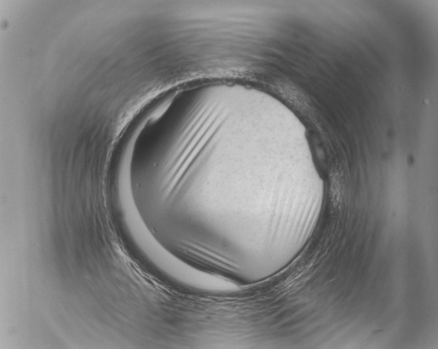 X0000053100676200508081337