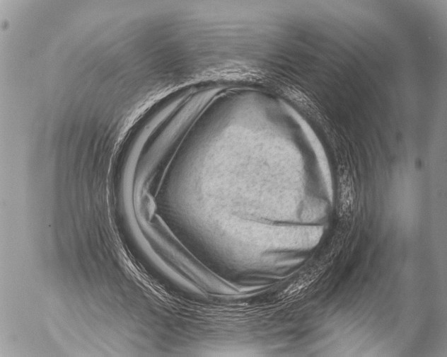 X0000053100680200508081337
