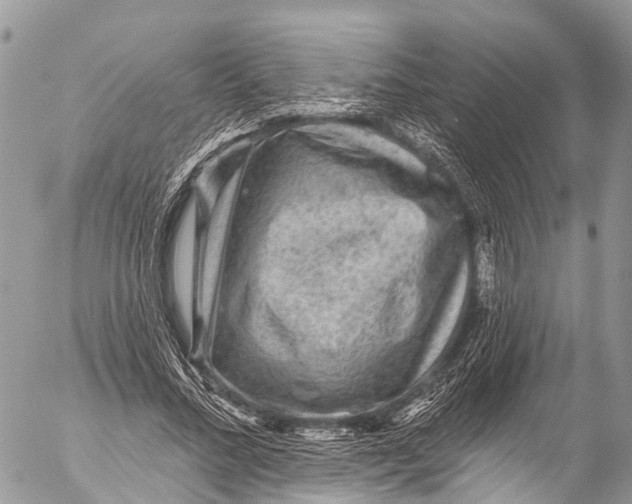 X0000053100684200508081337