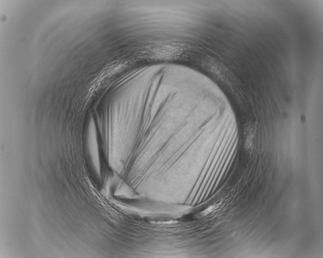 X0000053100685200508081337