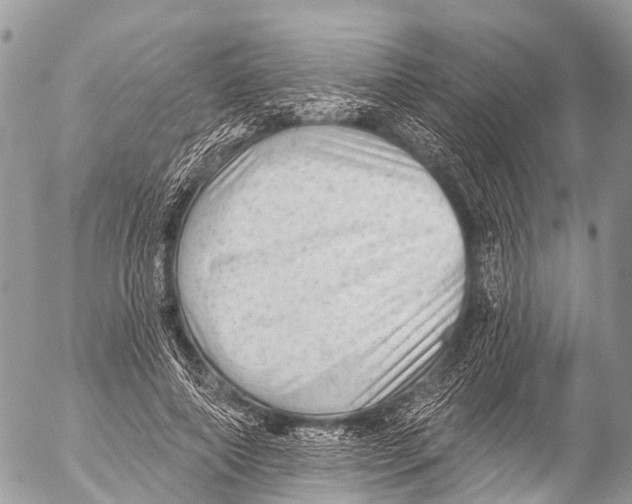X0000053100690200508081337