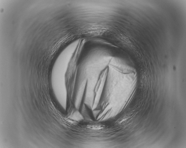 X0000053100693200508081337