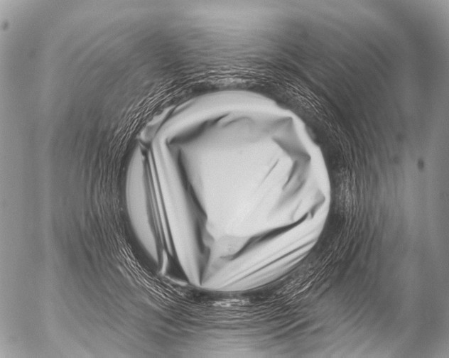X0000053100700200508081337