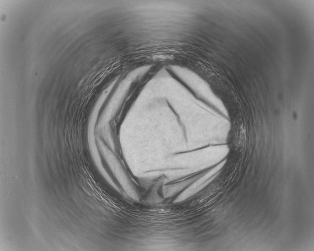 X0000053100704200508081336