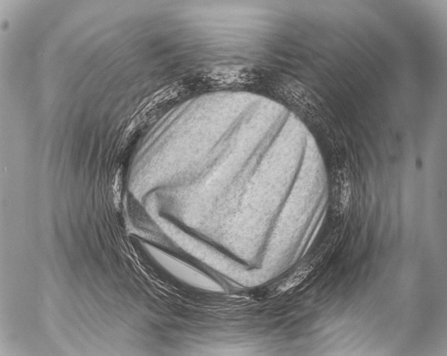 X0000053100710200508081336