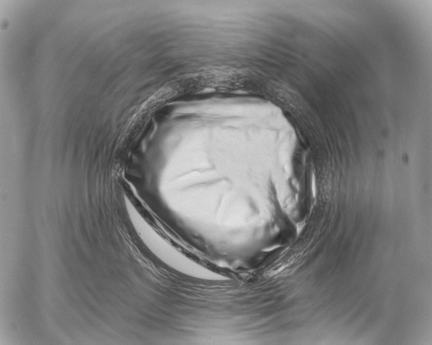 X0000053100719200508081336