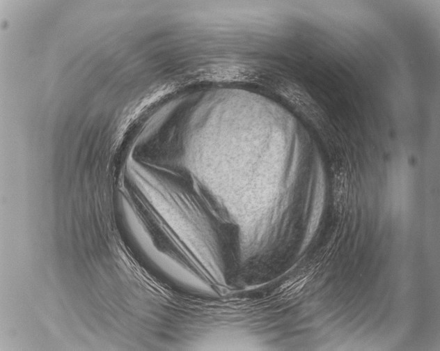 X0000053100727200508081336