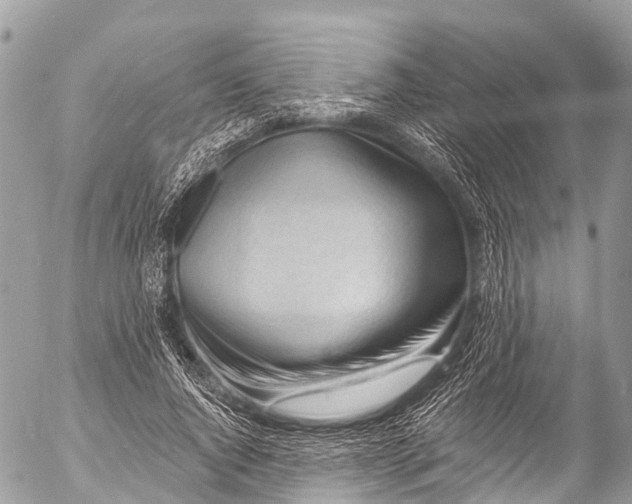 X0000053100736200508081336
