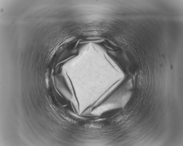 X0000053100739200508081336
