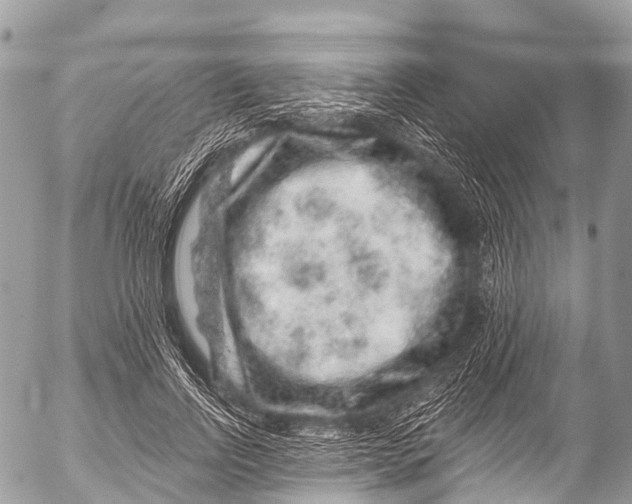 X0000053100742200508081336