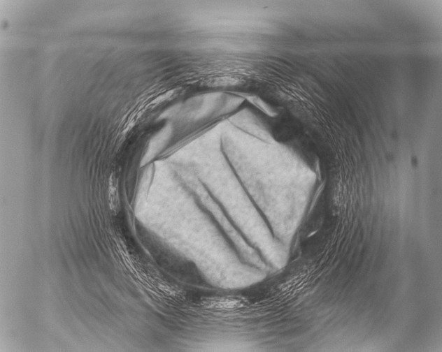 X0000053100743200508081336