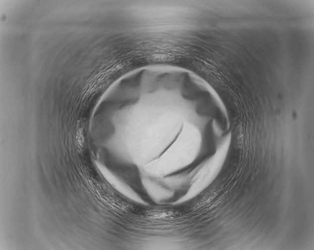 X0000053100746200508081336