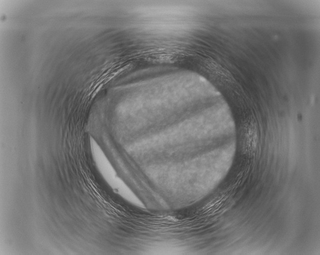 X0000053100747200508081336