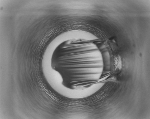 X0000053100750200508081336