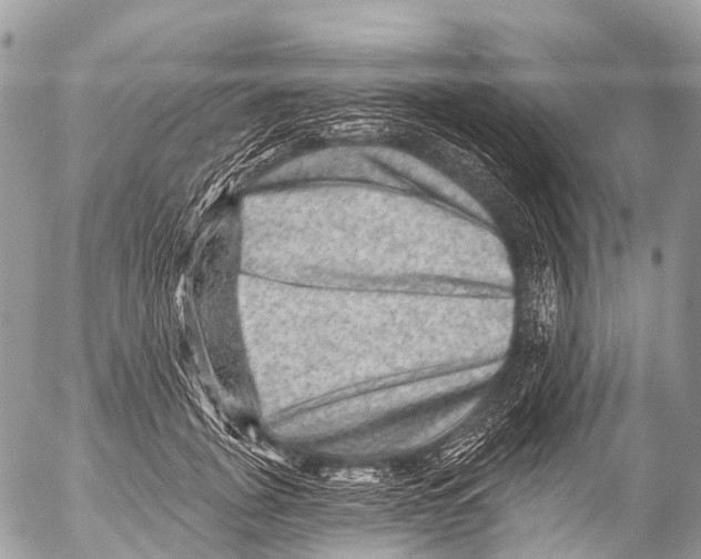X0000053100751200508081336