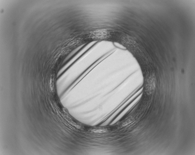 X0000053100755200508081336