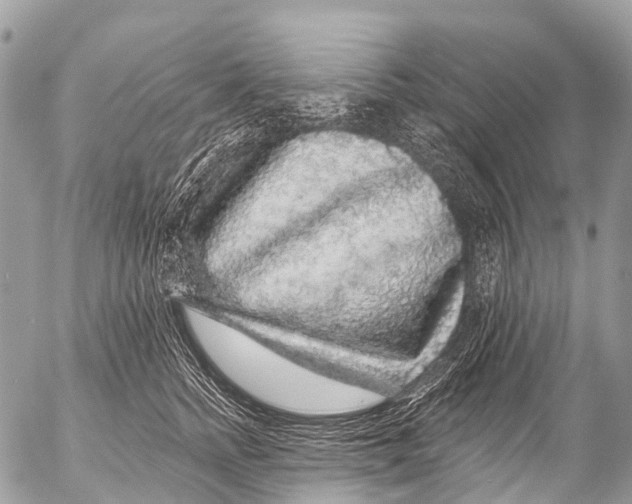 X0000053100758200508081336