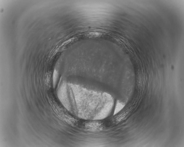 X0000053100759200508081336