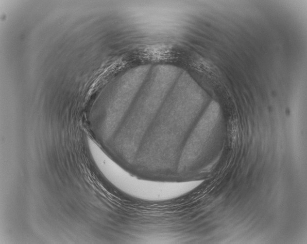 X0000053100760200508081336