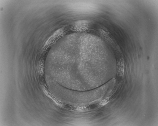 X0000053100762200508081336