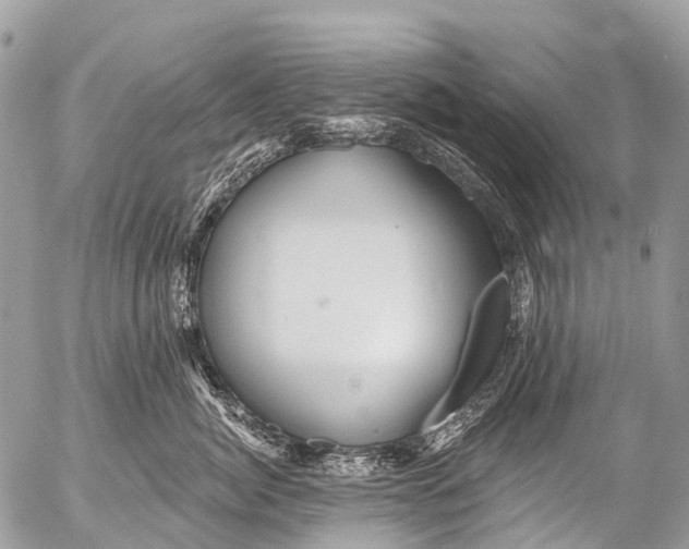X0000053100764200508081336