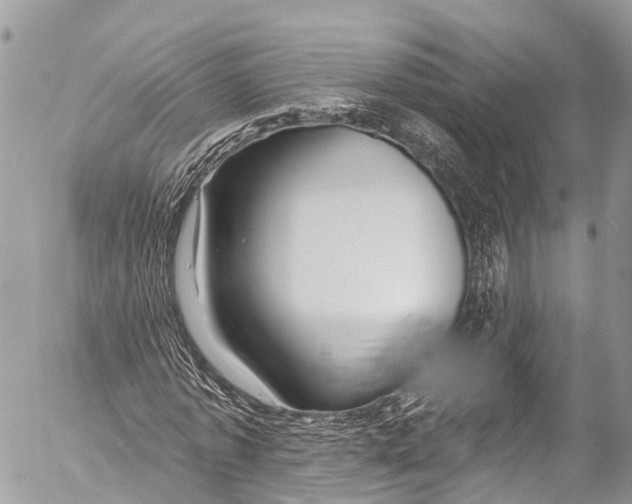 X0000053100773200508081335