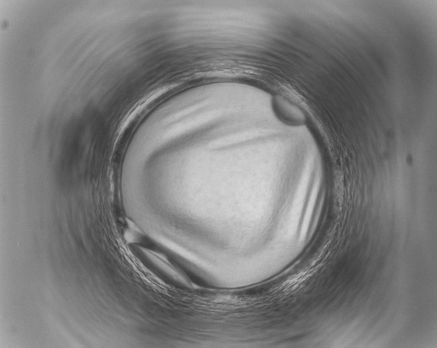 X0000053100787200508081335