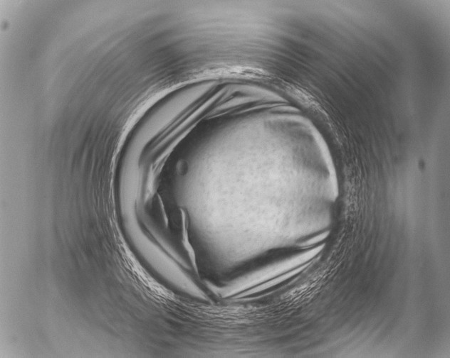 X0000053100792200508081335