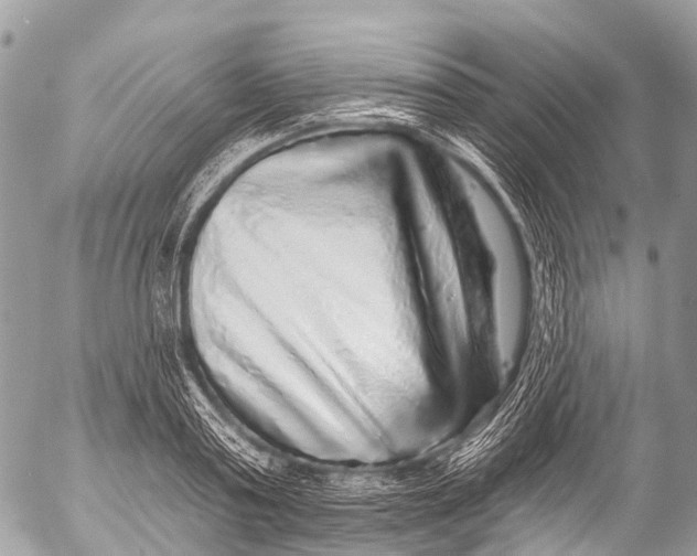 X0000053100795200508081335