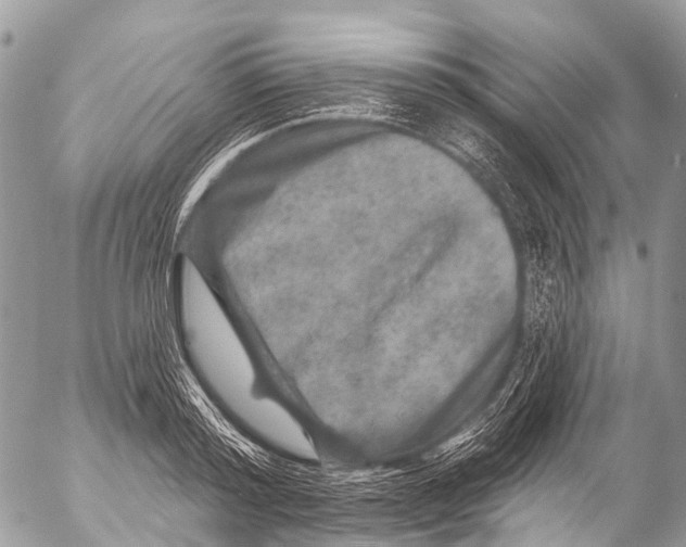 X0000053100796200508081335