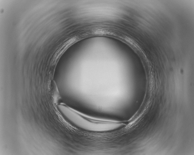 X0000053100801200508081335