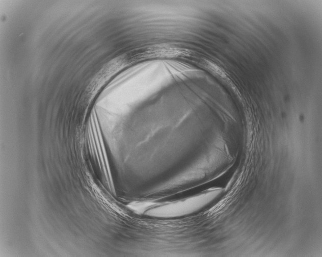 X0000053100802200508081335