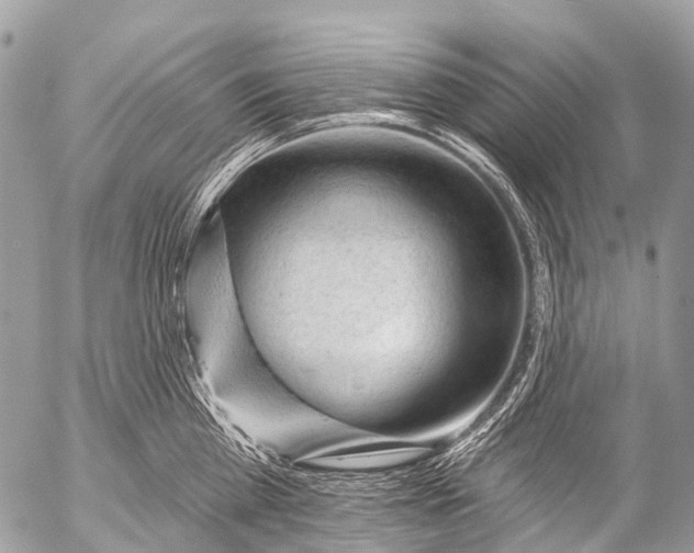 X0000053100809200508081335